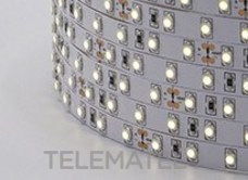 LUXLIGHT - TIRA FLEX.78 LEDS/M SMD3528 12W 24V IP20