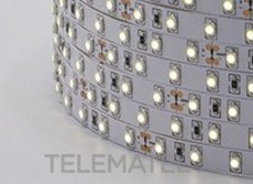 LUXLIGHT - TIRA FLEX.78 LEDS/M SMD3528 12W 24V IP20