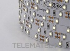 LUXLIGHT - TIRA FLEX.60 LEDS/M SMD3528 5W 12V IP67