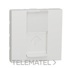 SCHNEIDER ELECTRIC - Caratula RJ45 2 módulos Keystone polar